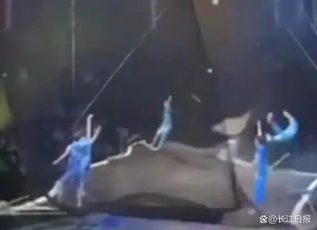 蹦床表演时演员被“弹飞”？上海马戏城回应